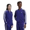 Picture of Kids Adicolor SST Track Top