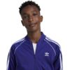 Picture of Kids Adicolor SST Track Top