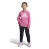 Picture of Little Kids Essentials Logo French Terry Jogger Set