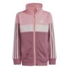 Picture of Little Kids Tiberio 3-Stripes Colourblock Shiny Tracksuit