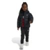 Picture of Little Kids Synthetic Down Jacket