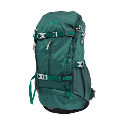 Picture of Treasurer 38L Backpack