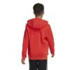 Picture of Big Logo Essentials Cotton Hoodie