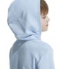 Picture of Essentials Two-Coloured Big Logo Cotton Hoodie