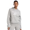 Picture of Identity Big Logo Fleece Hoodie