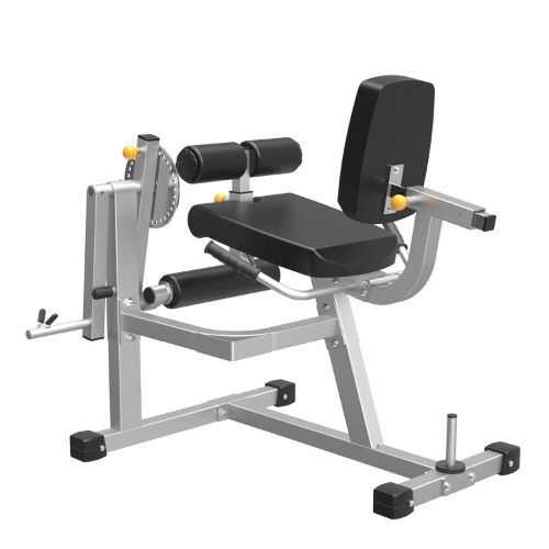 Picture of Leg Extension Curl Machine