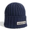 Picture of Archive Beanie