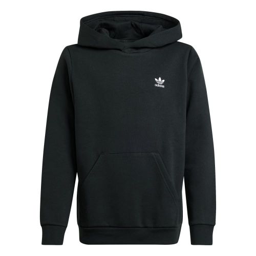 Picture of Kids Hoodie