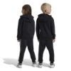 Picture of Adicolor Kids Hoodie Set