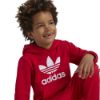 Picture of Adicolor Kids Hoodie Set