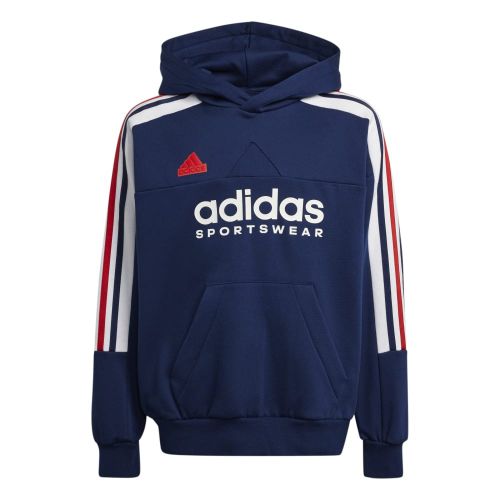 Picture of Junior Tiro Nations Pack Hoodie