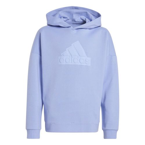 Picture of Future Icons Logo Hooded Sweatshirt