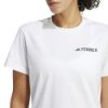 Picture of Terrex Graphic T-Shirt