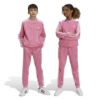 Picture of Kids Adicolor SST Track Top