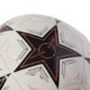 Picture of UEFA Champions League Club Ball