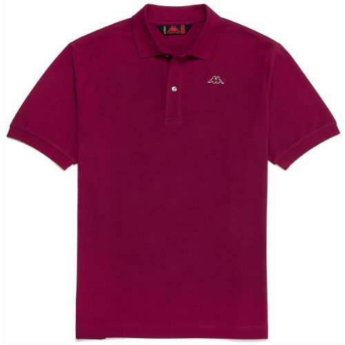 Picture of Aarau Polo Shirt