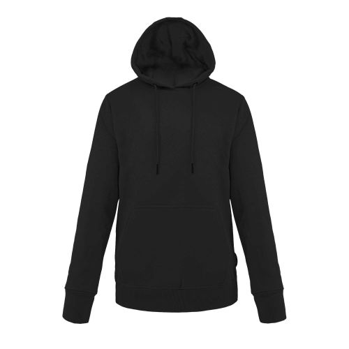 Picture of Hoodie v2