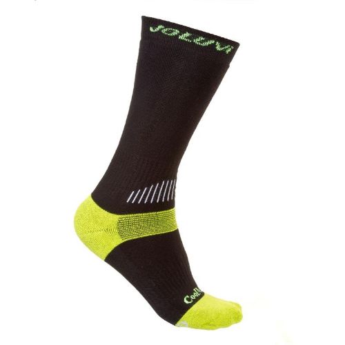 Picture of Coolmax Ressor Socks 2 Pair Pack