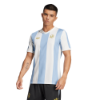 Picture of Argentina Anniversary Jersey 