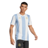 Picture of Argentina Anniversary Jersey 