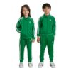 Picture of Kids Adicolor SST Track Suit