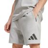 Picture of Z.N.E. Shorts