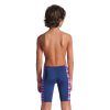 Picture of Boys Racing Stripe Swim Jammer