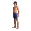 Picture of Boys Racing Stripe Swim Jammer