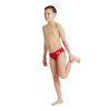 Picture of Boys Solid Colour Team Swim Briefs