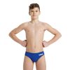 Picture of Boys Solid Colour Team Swim Briefs