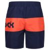 Picture of Merton Swim Shorts