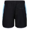 Picture of Silvester Swim Shorts