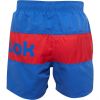 Picture of Merton Swim Shorts