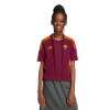 Picture of Kids AS Roma 2025/26 Home Jersey