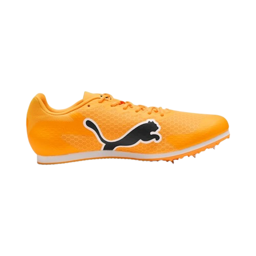 Picture of evoSPEED Star 9 Running Shoes