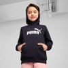 Picture of Kids Essentials No. 1 Logo Fleece Hoodie