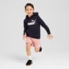 Picture of Kids Essentials No. 1 Logo Fleece Hoodie