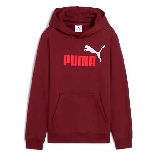 Picture of Kids Essentials 2 Colour No. 1 Logo Hoodie