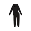 Picture of Hooded Tracksuit