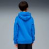 Picture of Kids Sport Hoodie