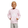 Picture of Little Kids Essentials Hoodie