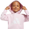 Picture of Little Kids Essentials Hoodie