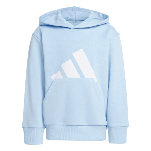 Picture of Little Kids Essentials Hoodie