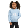 Picture of Little Kids Essentials Hoodie