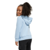 Picture of Little Kids Essentials Hoodie