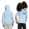 Picture of Little Kids Essentials Hoodie