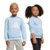 Picture of Little Kids Essentials Hoodie