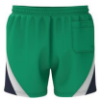 Picture of Grei Swim Shorts