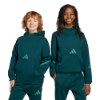 Picture of Kids Z.N.E. Hoodie