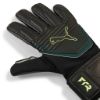 Picture of Future Match Negative Cut Goalkeeper Gloves